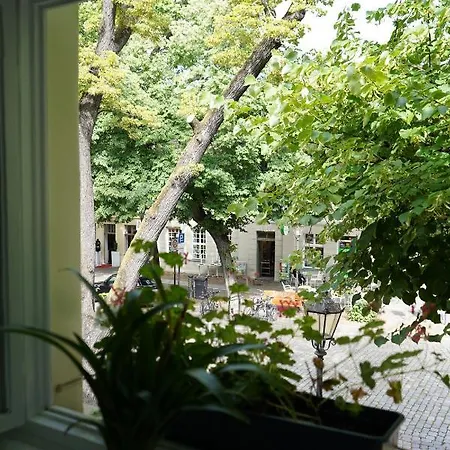 Cafe Alice & Gmbh 호스텔