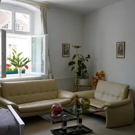 Cafe Alice & Gmbh * Potsdam