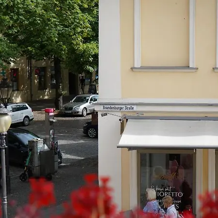 Cafe Alice & Gmbh * Potsdam