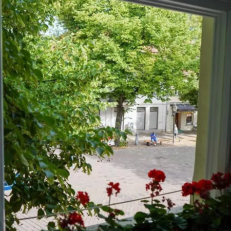 Cafe Alice & Gmbh * Potsdam