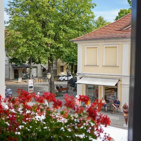 Cafe Alice & Gmbh Hostel