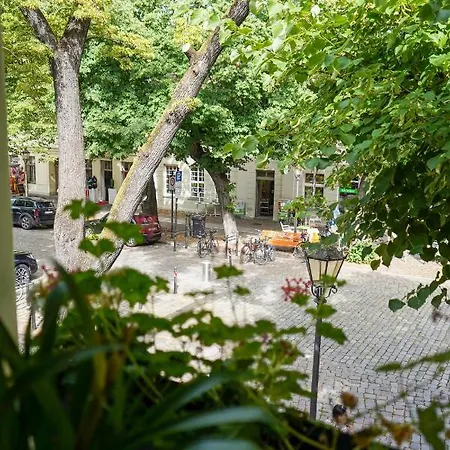 Cafe Alice & Gmbh 호스텔 포츠담