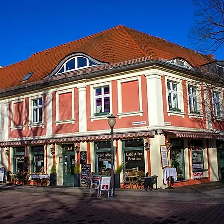 호스텔 Cafe Alice & Gmbh *