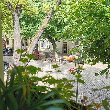 Cafe Alice & Gmbh Potsdam