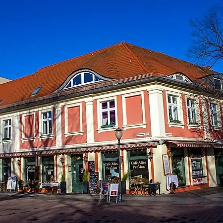 Cafe Alice & Gmbh