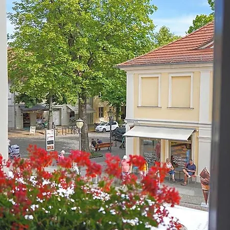 Cafe Alice & Gmbh Hostel Potsdam