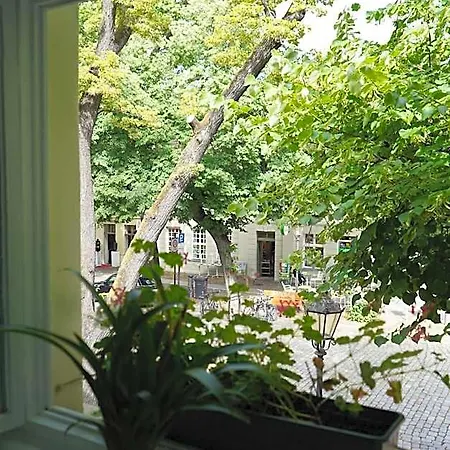 Hostel Cafe Alice & Gmbh