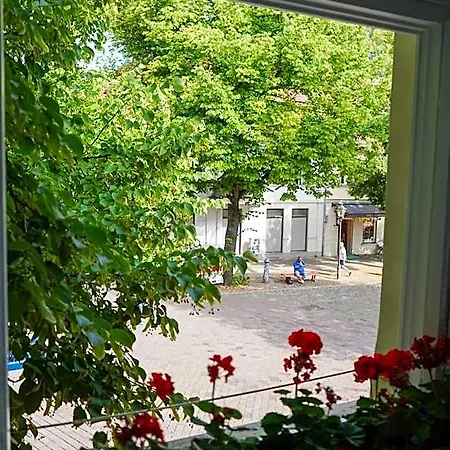 Cafe Alice & Gmbh *