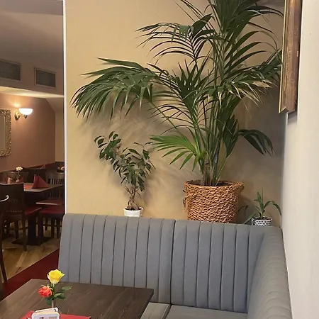 Cafe Alice & Gmbh Hostel *