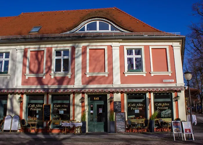 Hostel Cafe Alice & Gmbh *