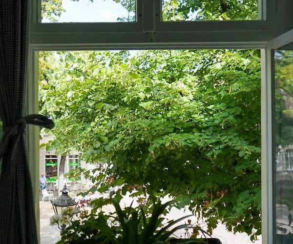 Cafe Alice & Gmbh * Potsdam