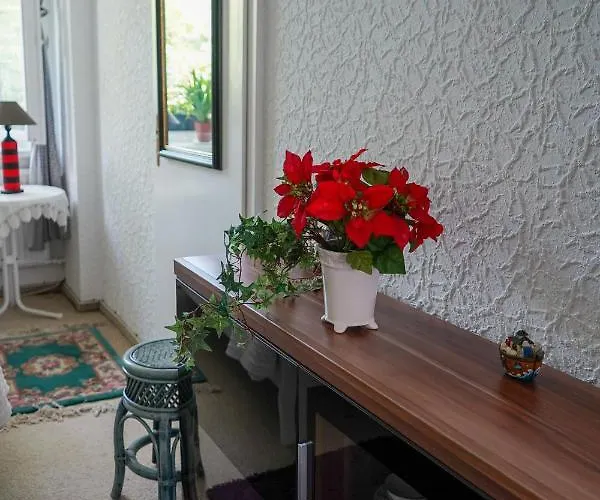 Cafe Alice & Gmbh Hostel *