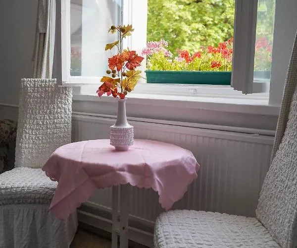 旅馆 Cafe Alice & Gmbh *