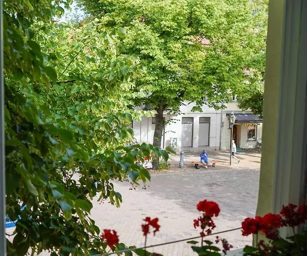 Cafe Alice & Gmbh * Potsdam