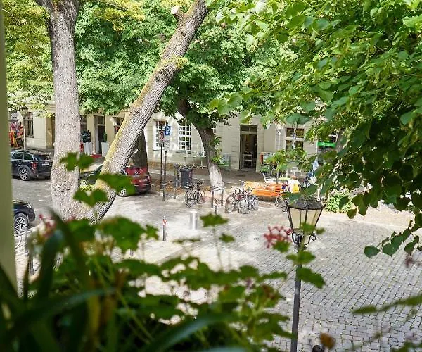 Cafe Alice & Gmbh Vandrarhem Potsdam